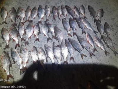 Браконьерство под Липецком: Что Скрыто за Рыболовными Сетями